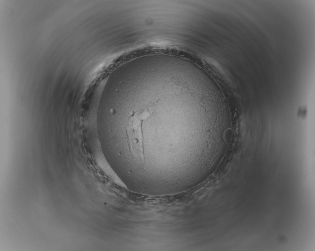 X0000113570776200910021628