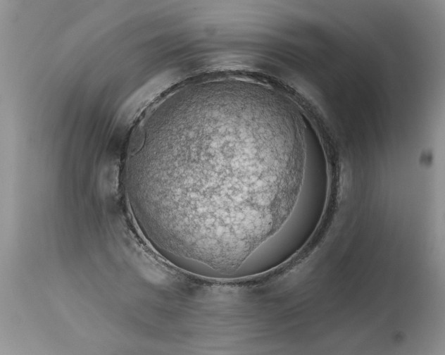 X0000113570777200910021628