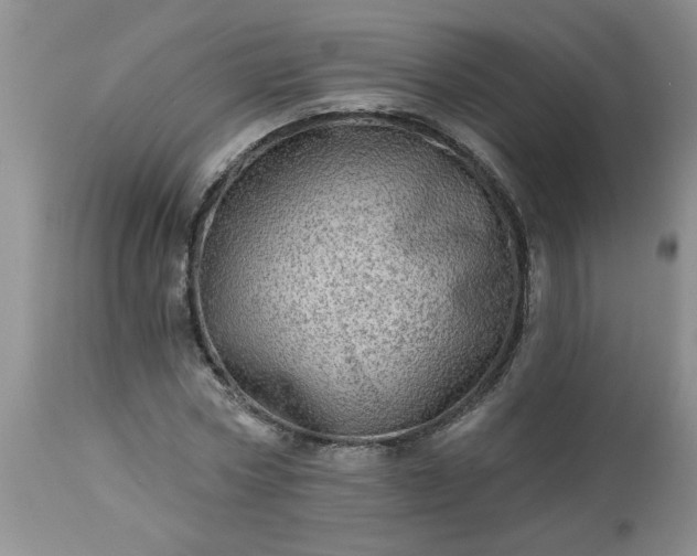 X0000113570778200910021628