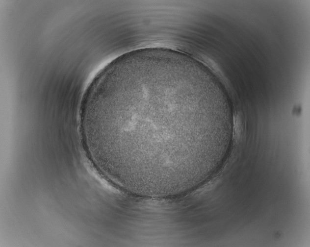 X0000113570780200910021628