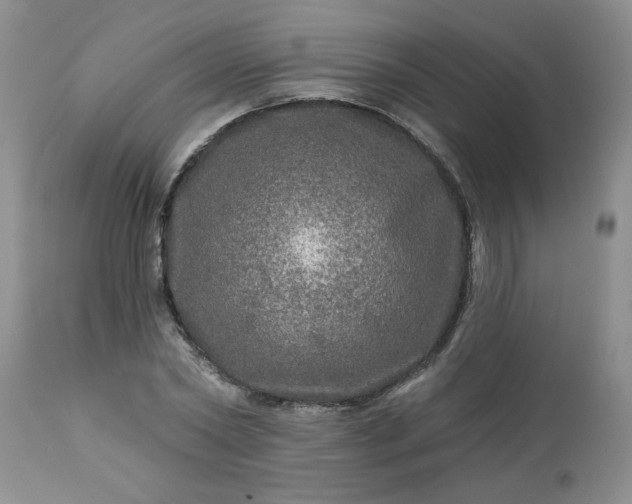 X0000113570782200910021628