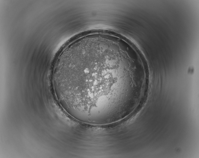 X0000113570783200910021628