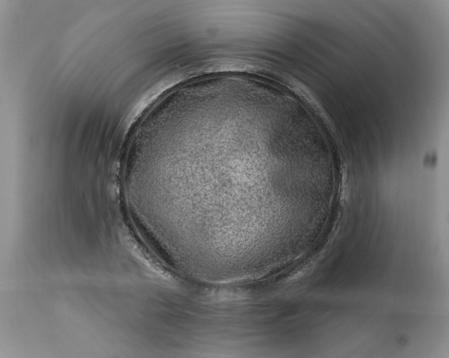 X0000113570786200910021628