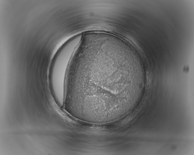 X0000113570788200910021628