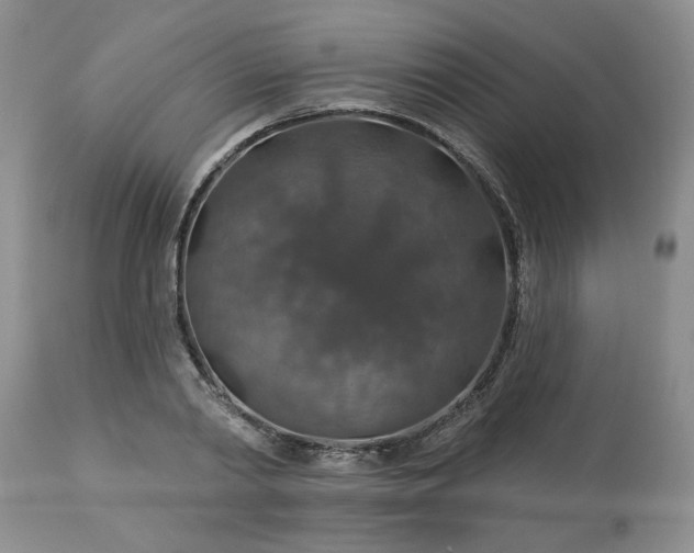 X0000113570790200910021628