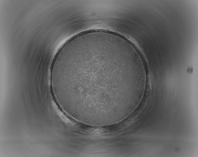 X0000113570791200910021628