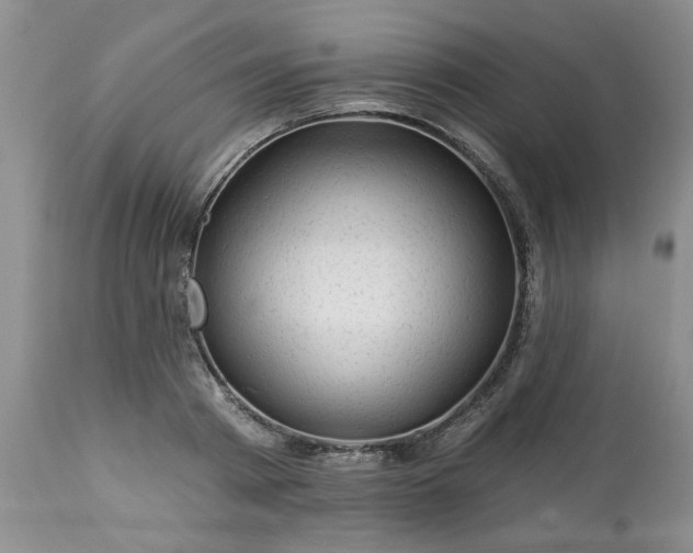 X0000113570793200910021628