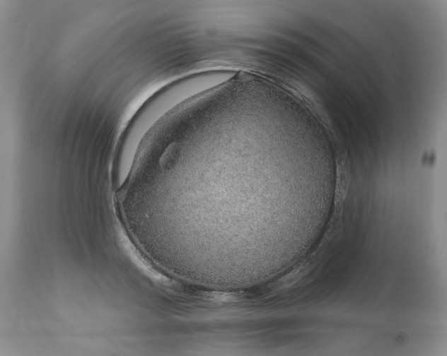 X0000113570796200910021628