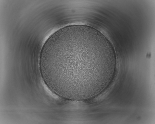 X0000113570797200910021628