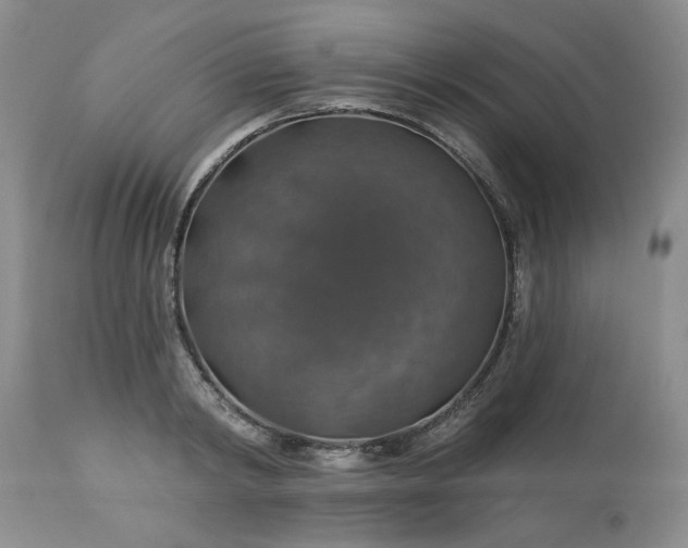 X0000113570798200910021628