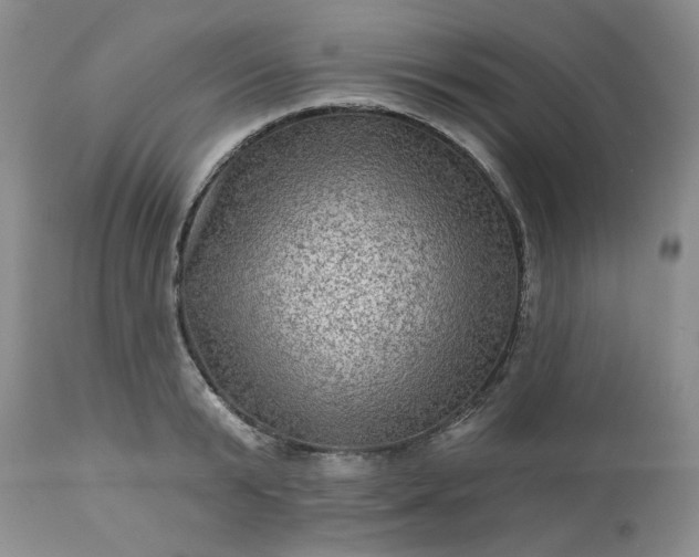 X0000113570799200910021628