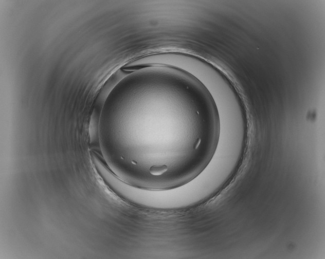 X0000113570801200910021628