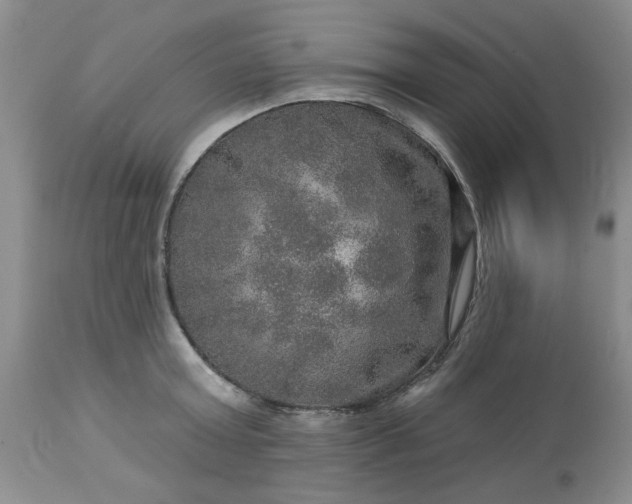 X0000113570803200910021628