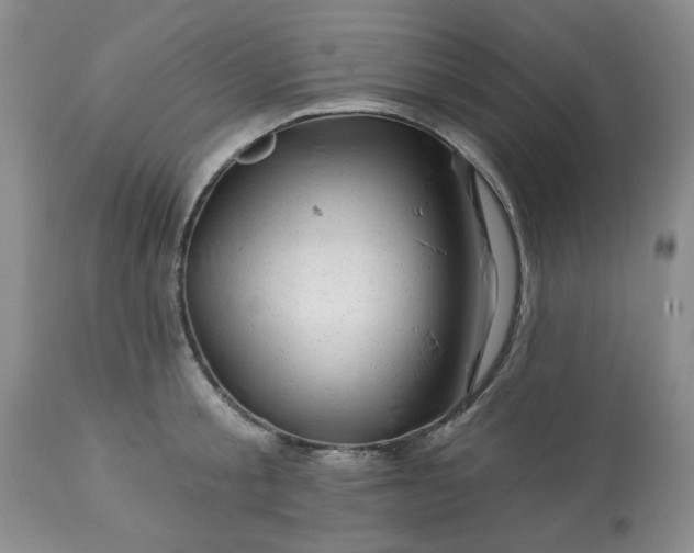 X0000113570805200910021628