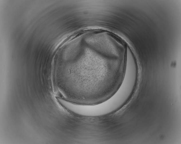X0000113570809200910021628