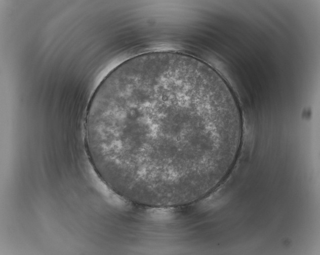 X0000113570810200910021628