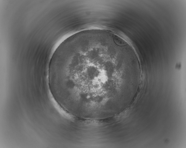 X0000113570811200910021628