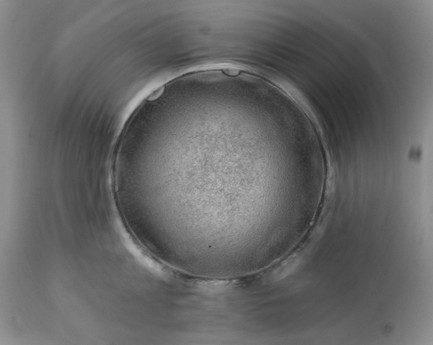 X0000113570813200910021628