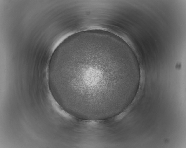 X0000113570814200910021628