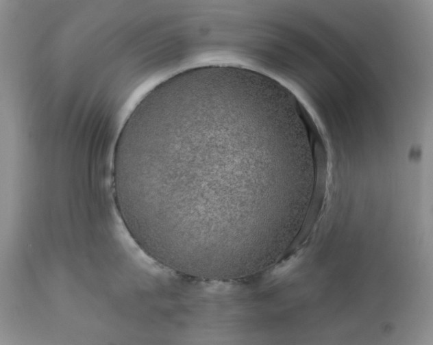 X0000113570815200910021628