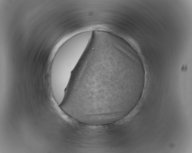 X0000113570816200910021628