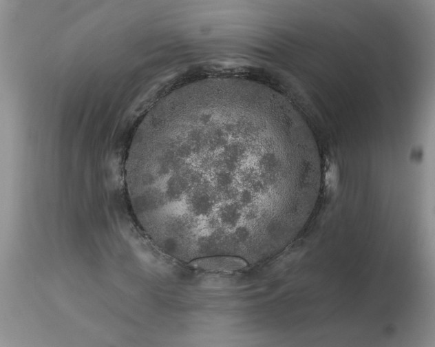 X0000113570819200910021627