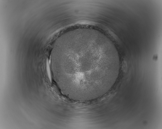 X0000113570821200910021627