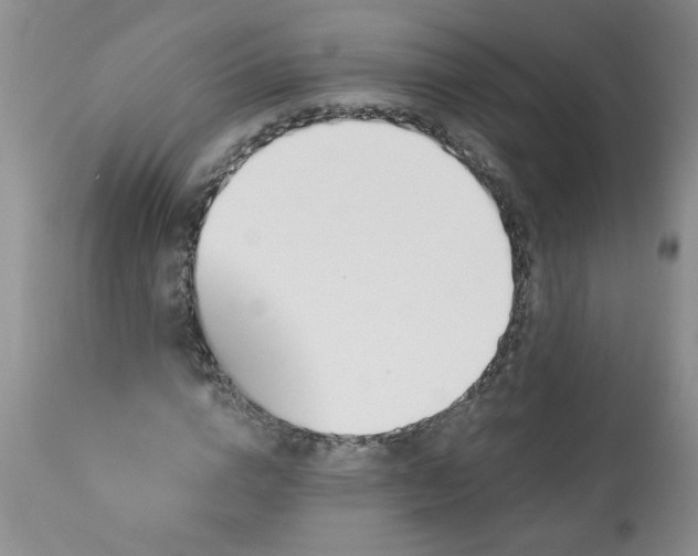 X0000113570824200910021627