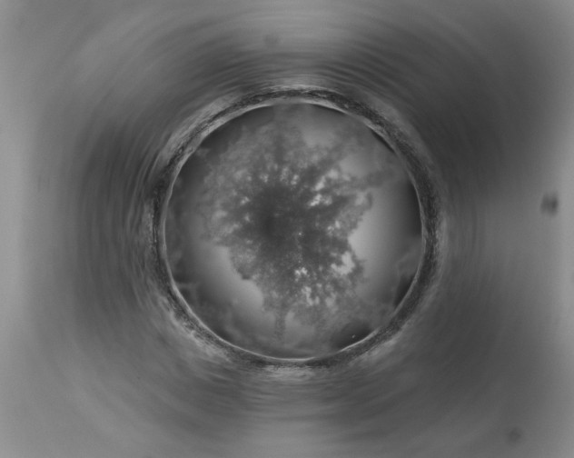 X0000113570825200910021627