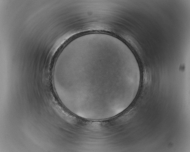 X0000113570828200910021627
