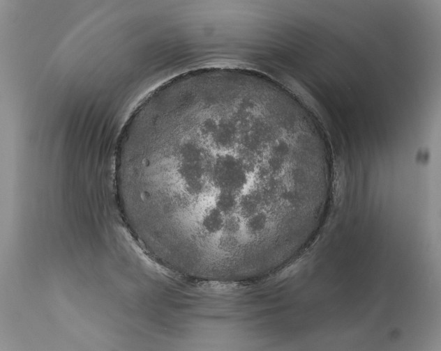 X0000113570831200910021627