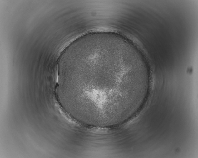 X0000113570833200910021627