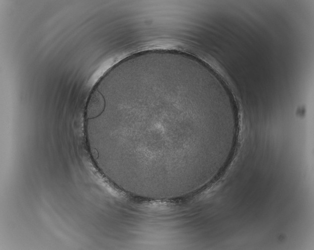 X0000113570834200910021627