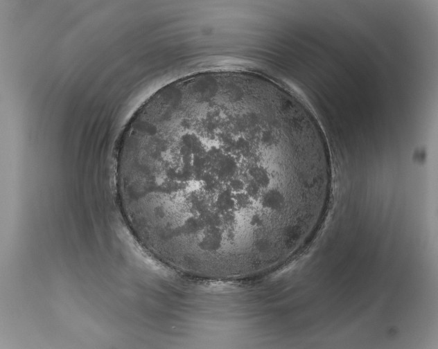 X0000113570835200910021627