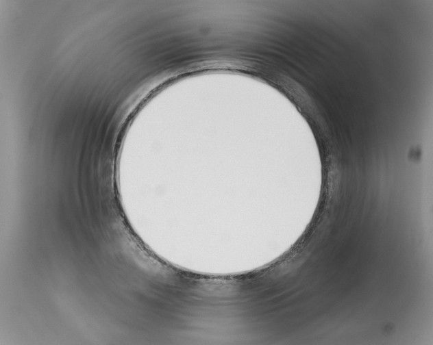 X0000113570836200910021627