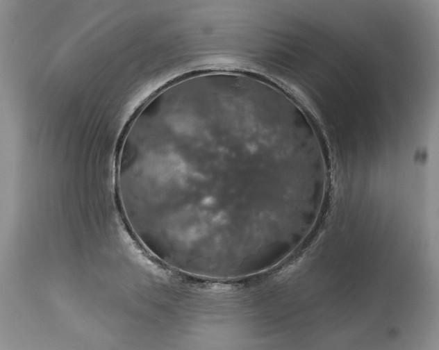 X0000113570839200910021627