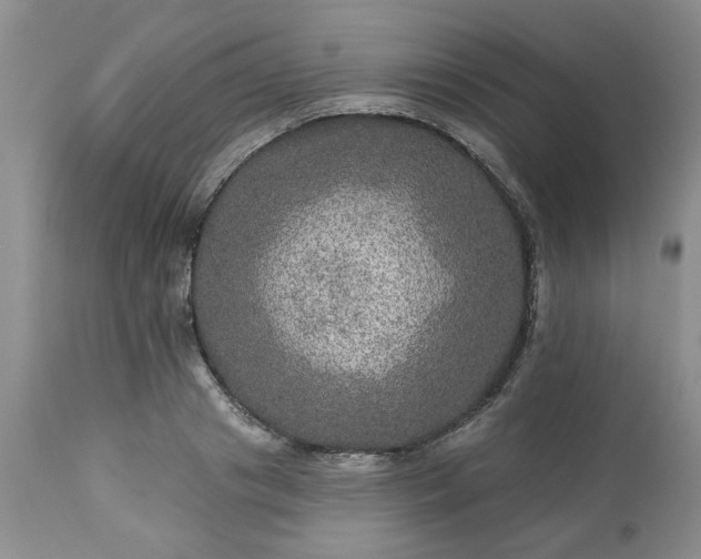 X0000113570841200910021627