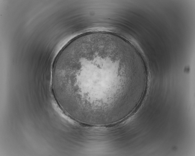 X0000113570844200910021627