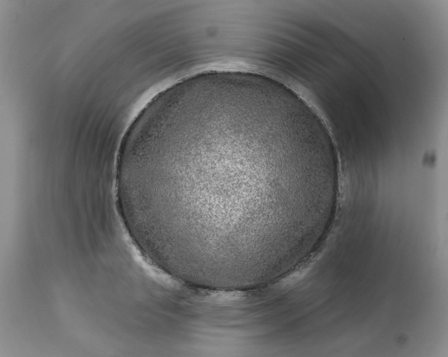 X0000113570845200910021627