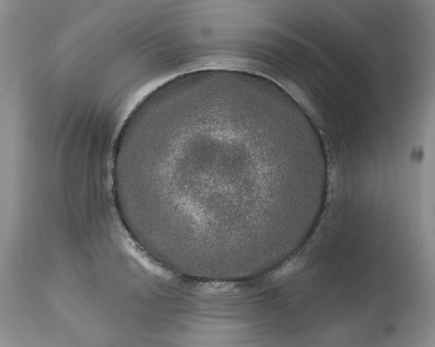 X0000113570846200910021627