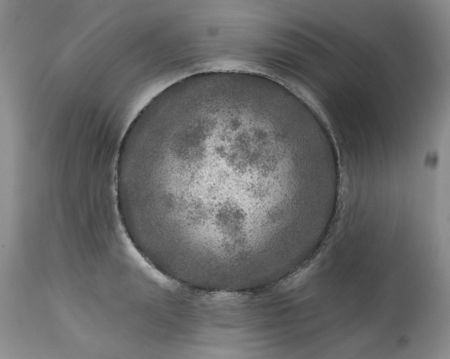 X0000113570847200910021627