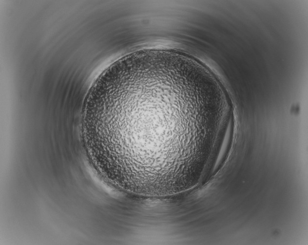 X0000113570850200910021627