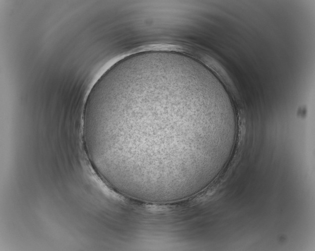 X0000113570852200910021627