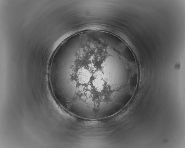 X0000113570853200910021627