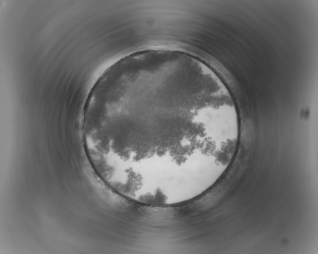 X0000113570856200910021627