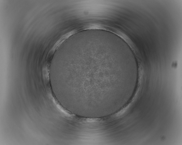 X0000113570857200910021627