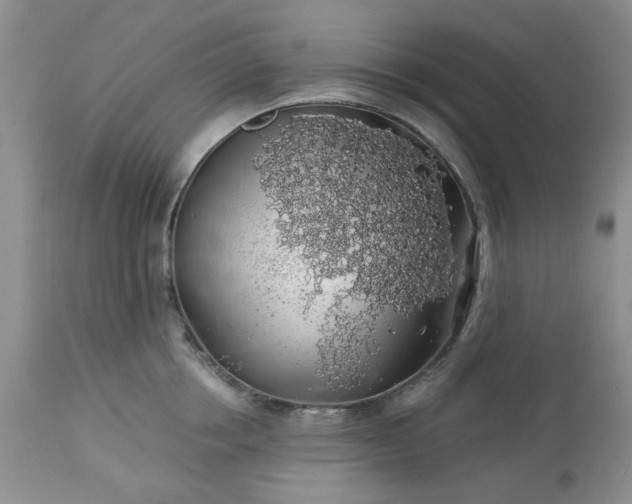 X0000113570858200910021627