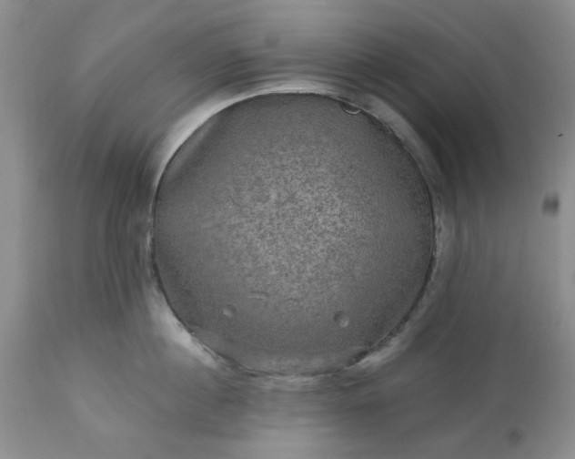 X0000113570860200910021628