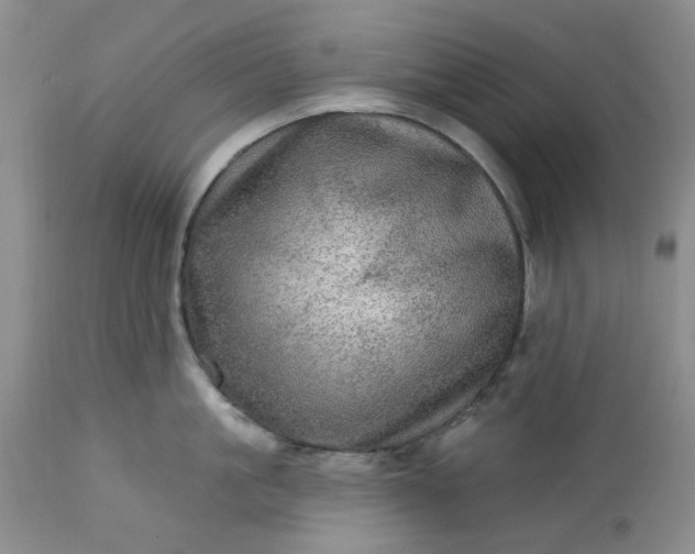 X0000113570861200910021628