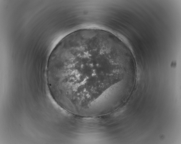 X0000113570863200910021628
